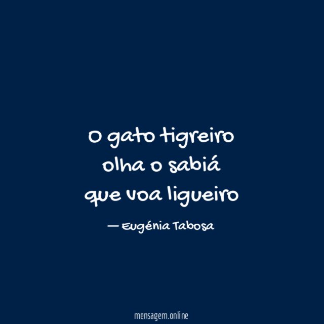 O gato tigreiro olha o sabiá que voa ligueiro