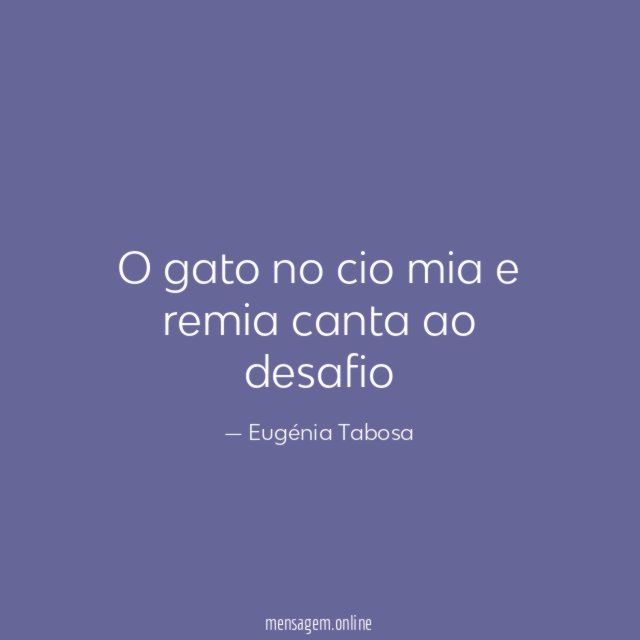 O gato no cio mia e remia canta ao desafio