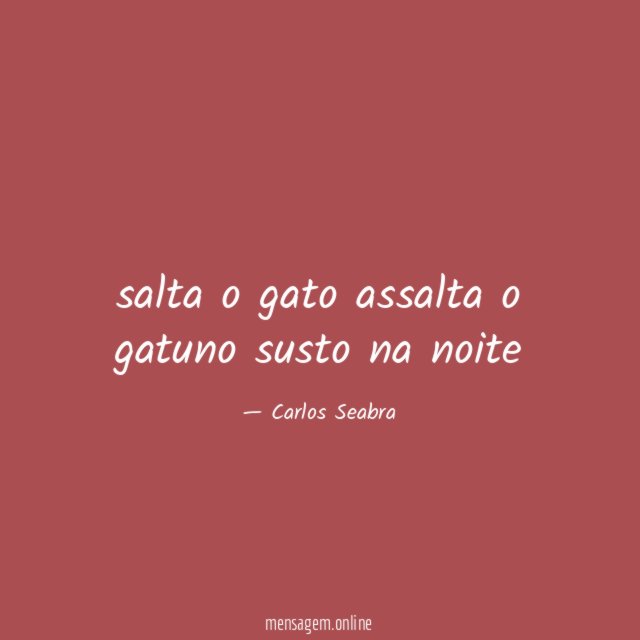 salta o gato assalta o gatuno susto na noite