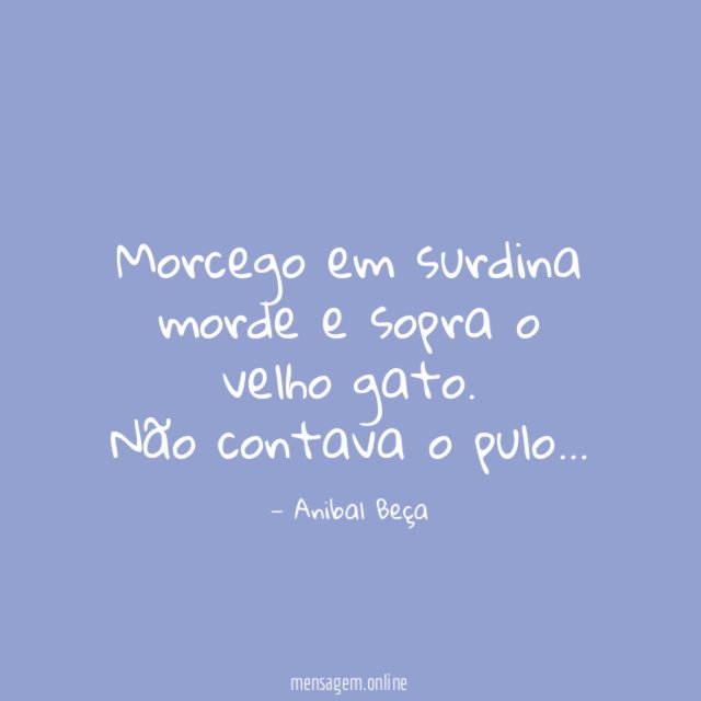 Morcego em surdina morde e sopra o velho gato