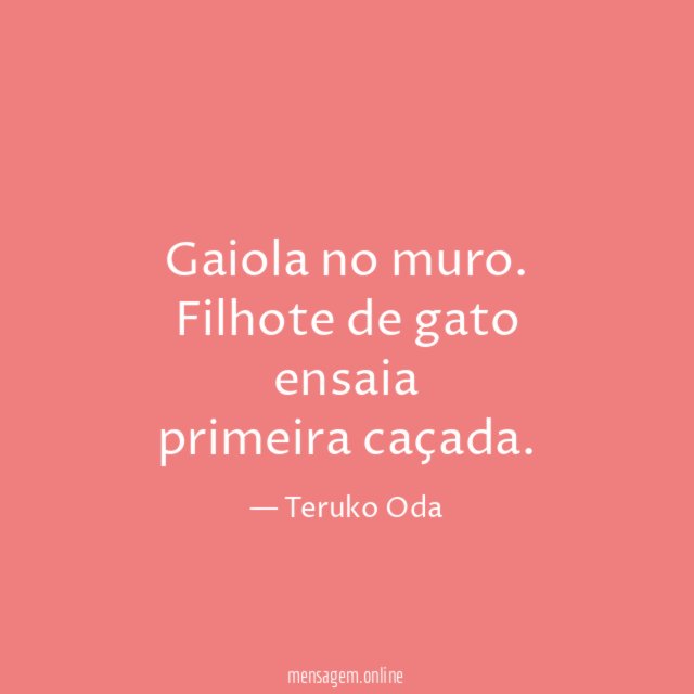 Gaiola no muro