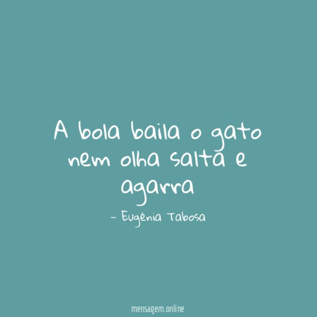 A bola baila o gato nem olha salta e agarra