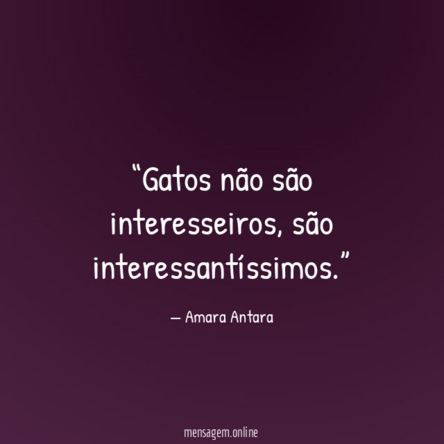Gatos não são interesseiros