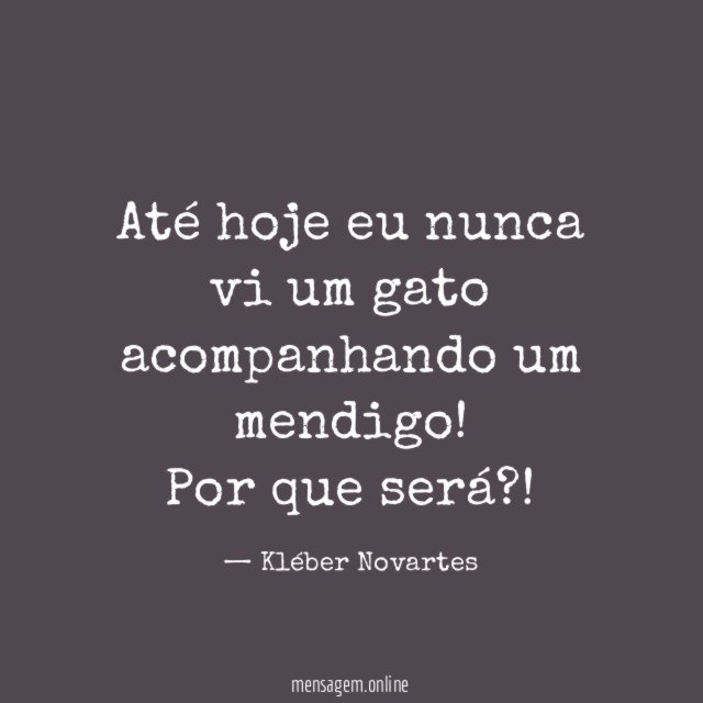 Até hoje eu nunca vi um gato acompanhando um mendigo