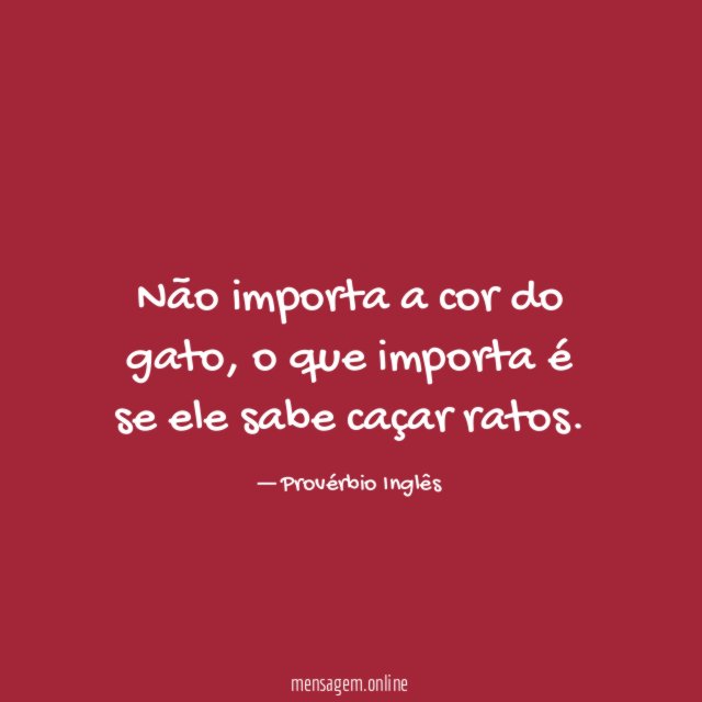 Não importa a cor do gato