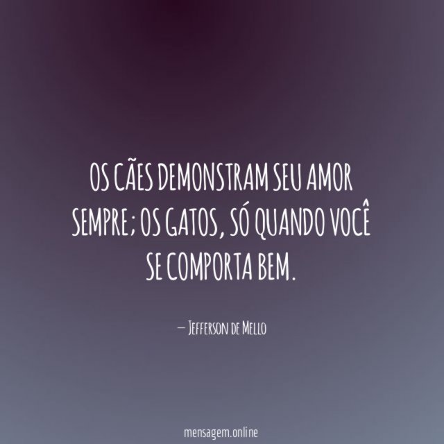 Os cães demonstram seu amor sempre