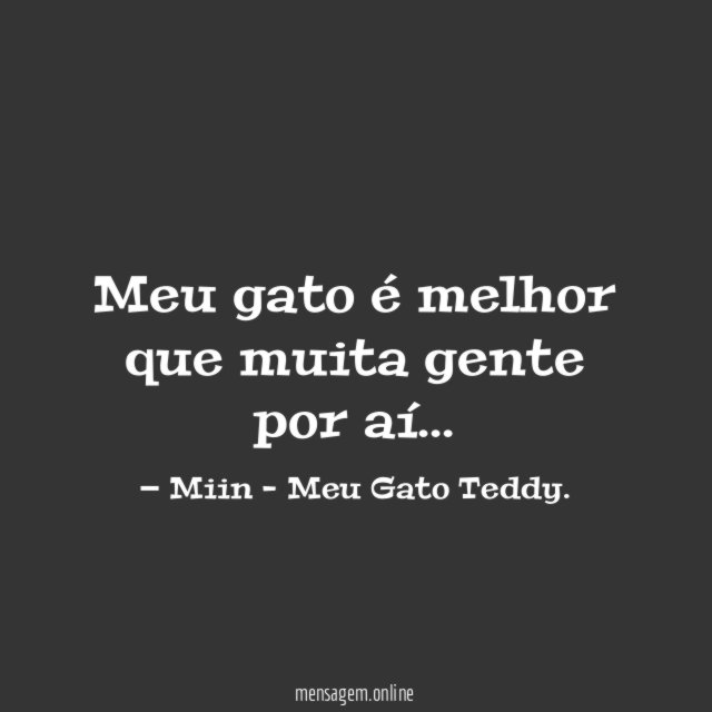 Meu gato é melhor que muita gente por aí