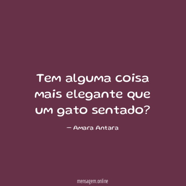 Tem alguma coisa mais elegante que um gato sentado