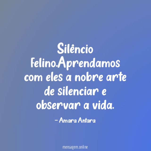 Silêncio felino