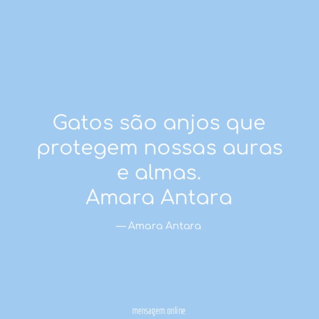 Gatos são anjos que protegem nossas auras e almas