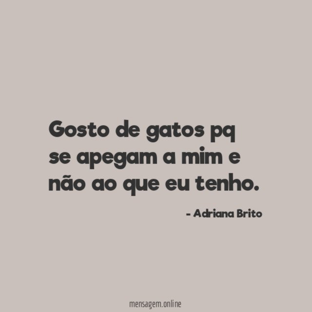 Gosto de gatos pq se apegam a mim