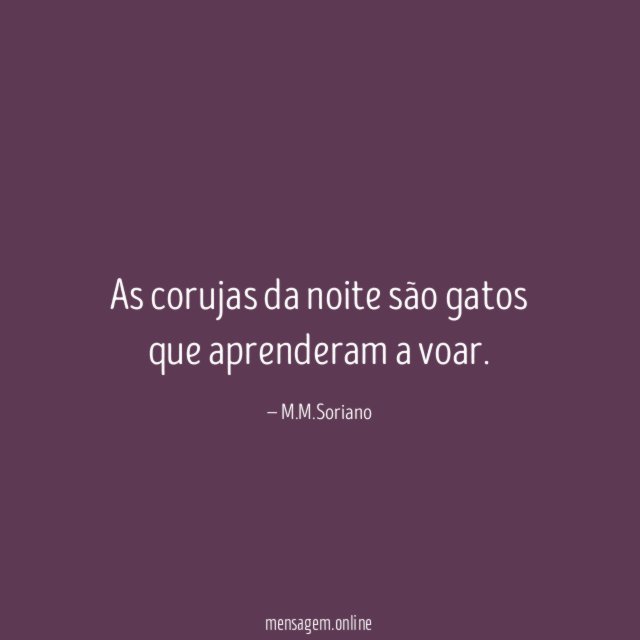 As corujas da noite são gatos que aprenderam a voar