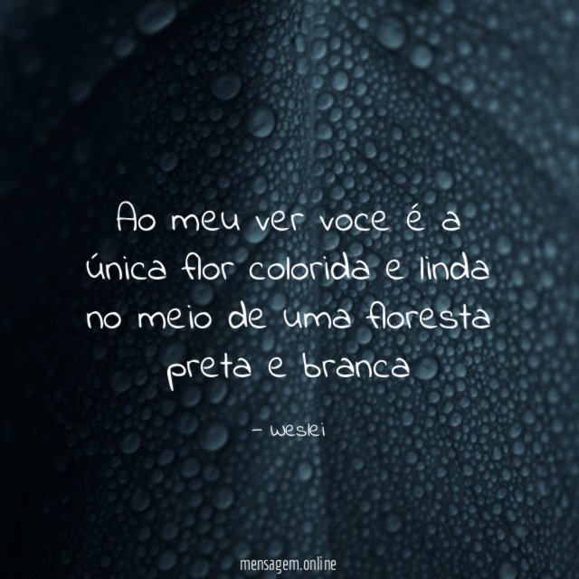 Ao meu ver voce é a única flor