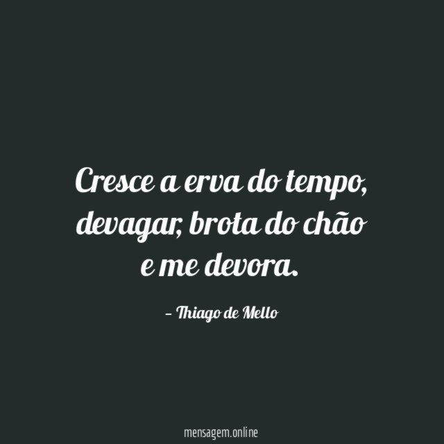 Cresce a erva do tempo