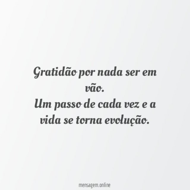 Gratidão por nada ser em vão