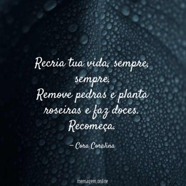 Recria tua vida