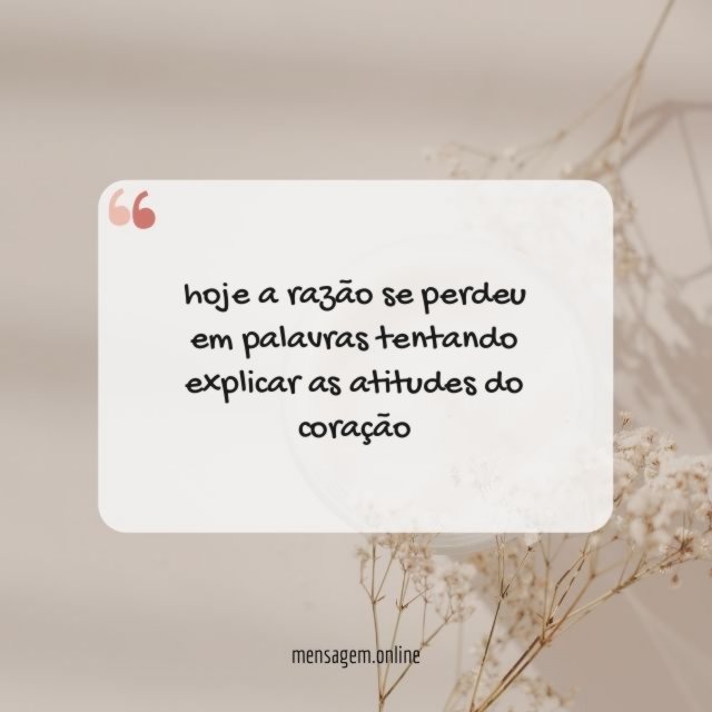 hoje a razão se perdeu em palavras tentando