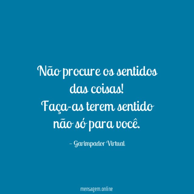Não procure os sentidos das coisas