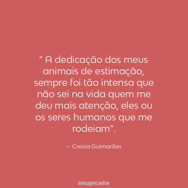 A dedicação dos meus animais de estimação