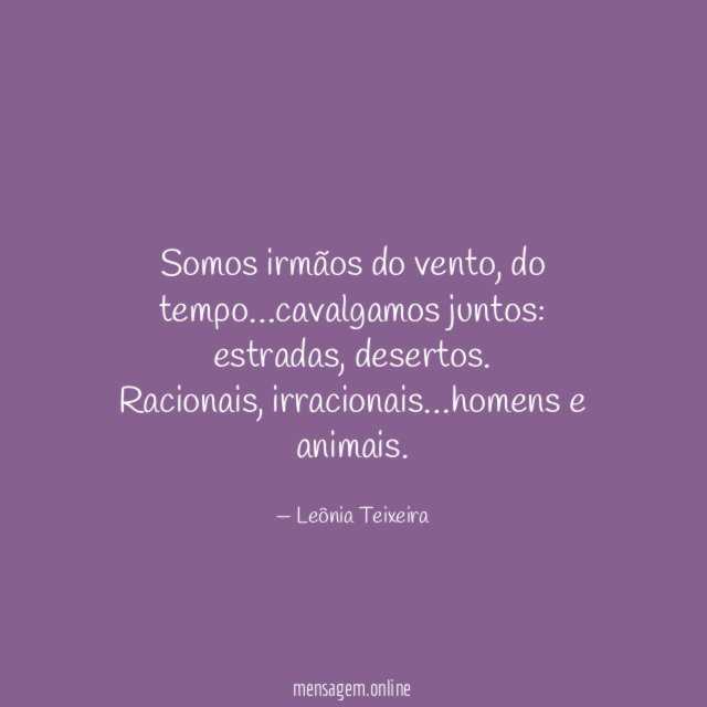 Somos irmãos do vento
