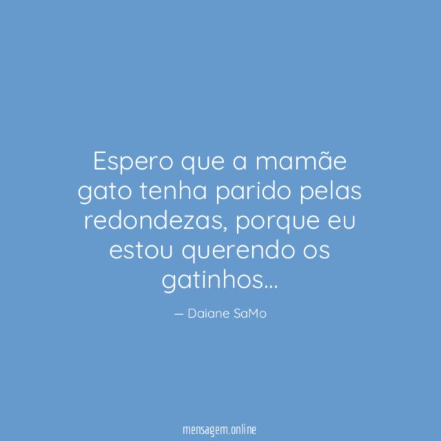 Espero que a mamãe gato tenha parido pelas redondezas