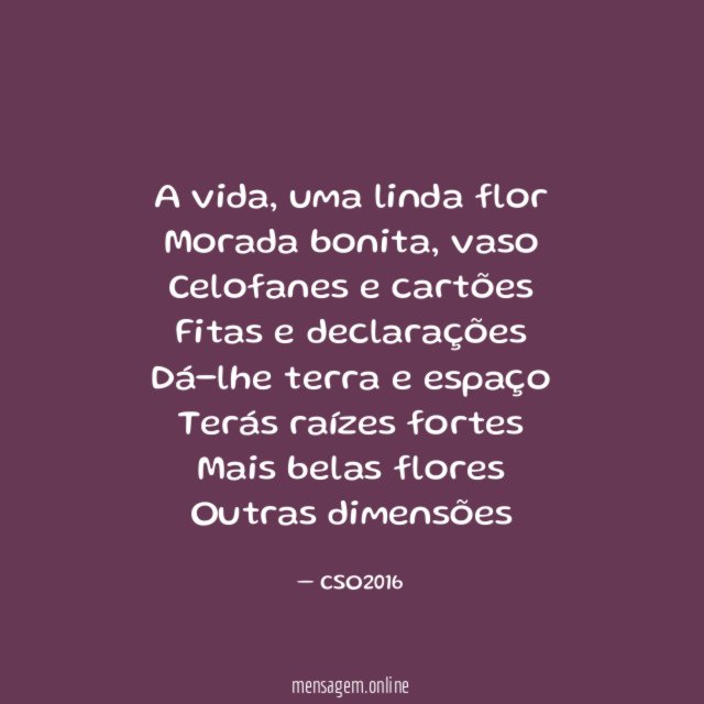 A vida, uma linda flor
Morada bonita, vaso
Celofanes e cartões
Fitas e declarações
