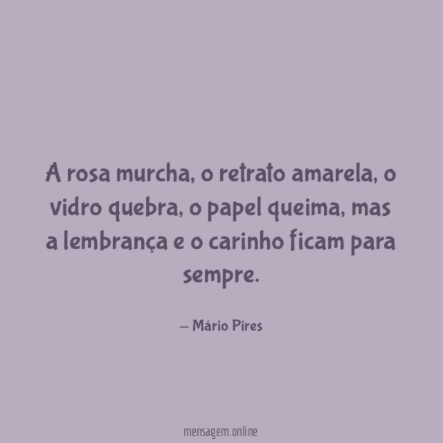 A rosa murcha