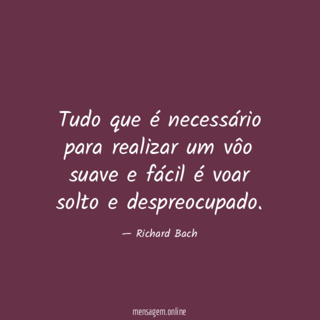 Tudo que é necessário para realizar um vôo