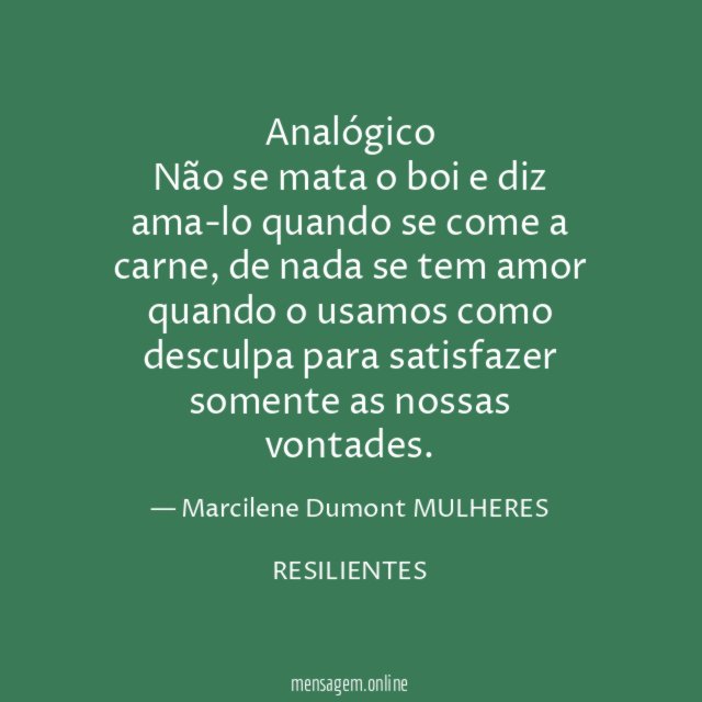 Analógico Não se mata o boi e diz ama-lo