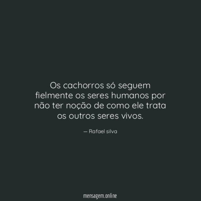 Os cachorros só seguem fielmente os seres humanos
