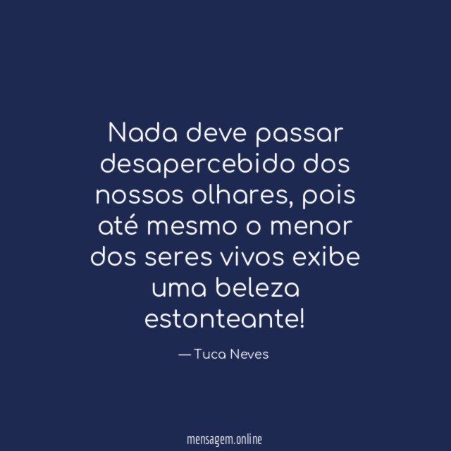 Nada deve passar desapercebido dos nossos olhares