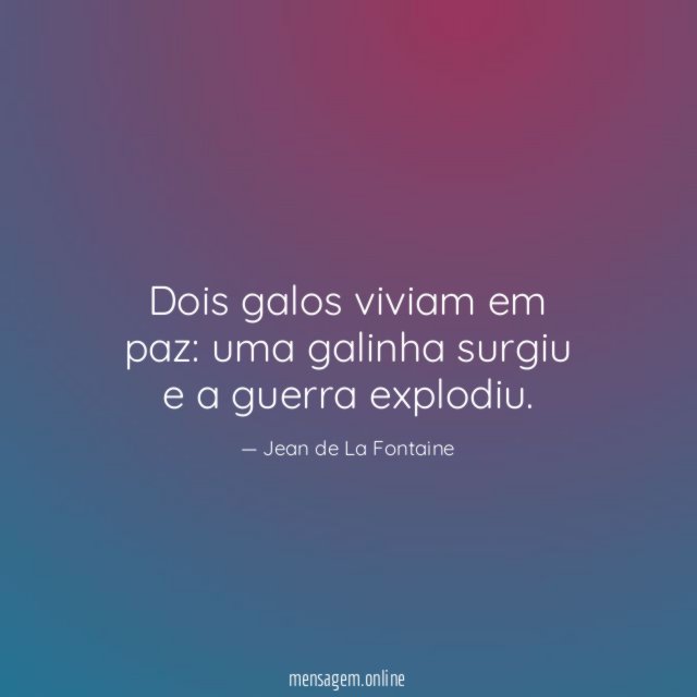 Dois galos viviam em paz