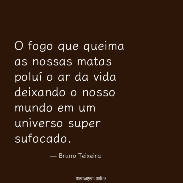 O fogo que queima as nossas matas poluí