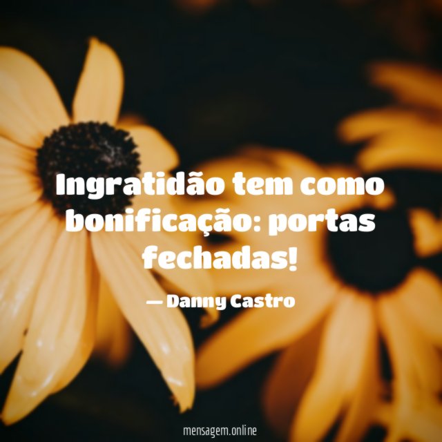 Ingratidão tem como bonificação
