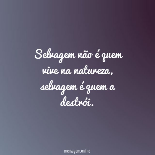 Selvagem não é quem vive na natureza