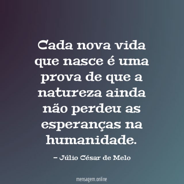 Cada nova vida que nasce é uma prova de