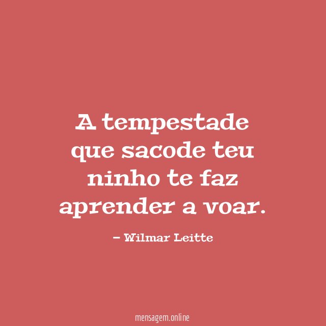 A tempestade que sacode teu ninho te faz aprender a voar