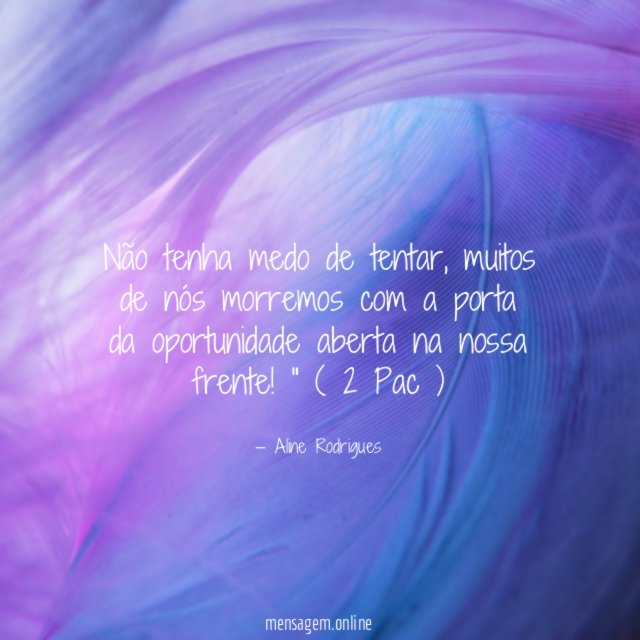 Não tenha medo de tentar