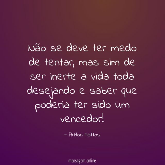 Não se deve ter medo de tentar