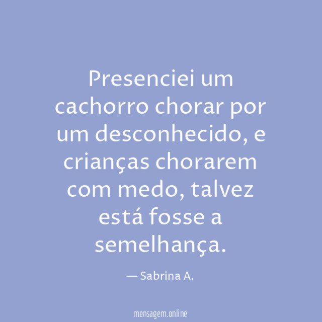 Presenciei um cachorro chorar por um desconhecido