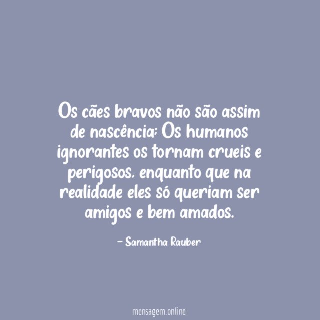 Os cães bravos não são assim de nascência
