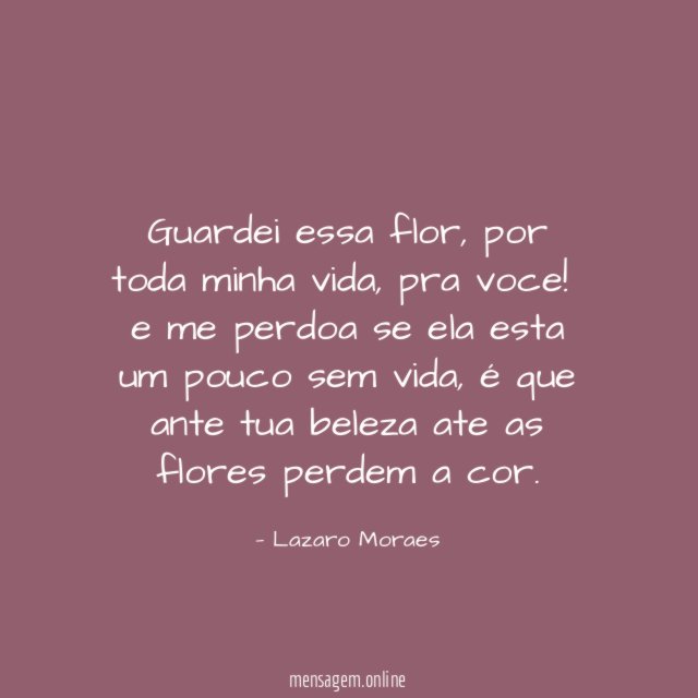 Guardei essa flor