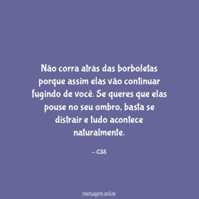 Não corra atrás das borboletas porque assim elas