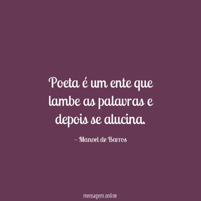 Poeta é um ente que lambe as palavras e depois se alucina