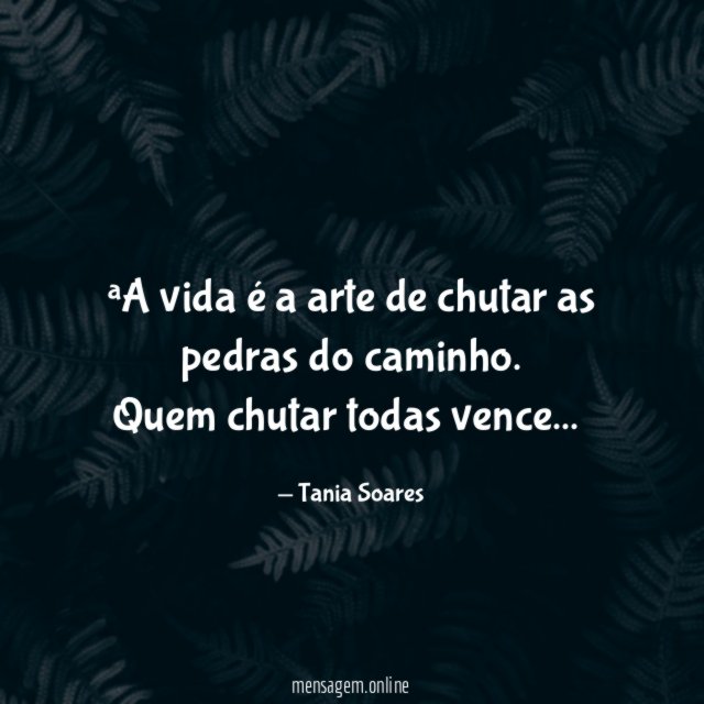 A vida é a arte de chutar as pedras do caminho