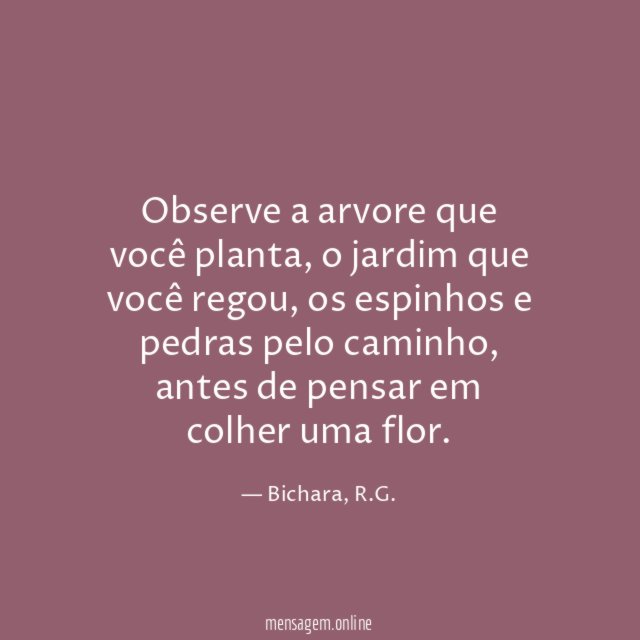 Observe a arvore que você planta