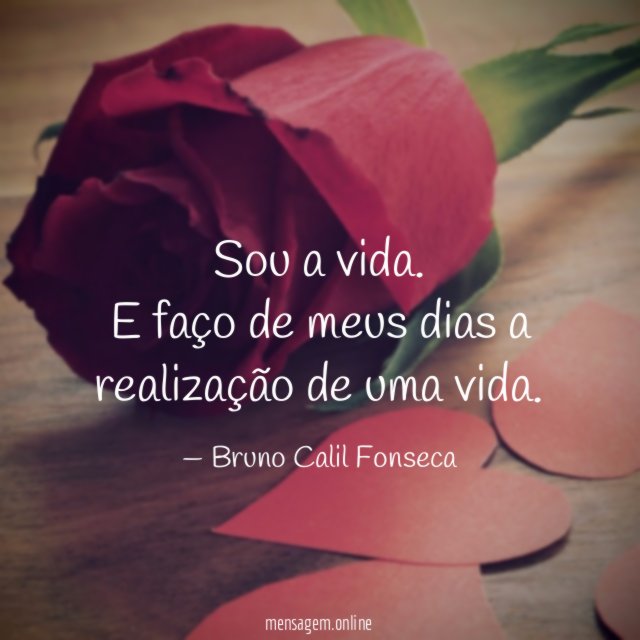 Sou a vida