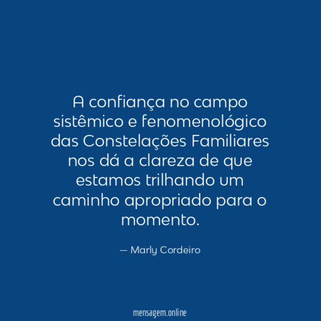 A confiança no campo sistêmico e fenomenológico das