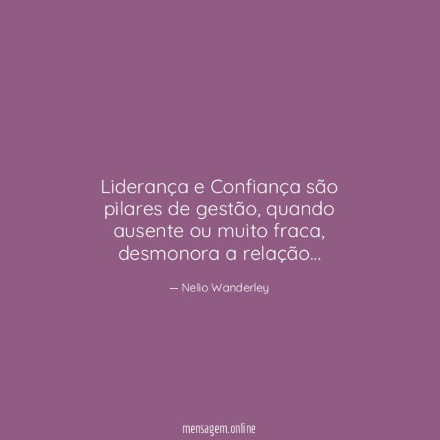 Liderança e Confiança são pilares de gestão