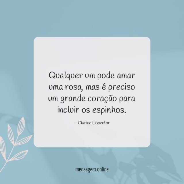 Qualquer um pode amar uma rosa